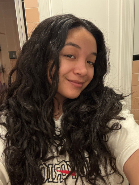 Crown Affair Smoothing Air Dry Cream on 2a hair.